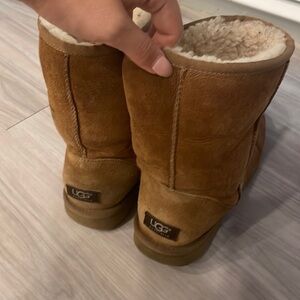 Chestnut Uggs
